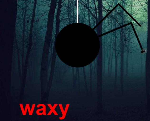 Hangspider 2.0 - hangman with a twist